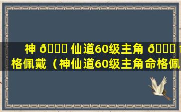 神 🐎 仙道60级主角 🐟 命格佩戴（神仙道60级主角命格佩戴什么套装）